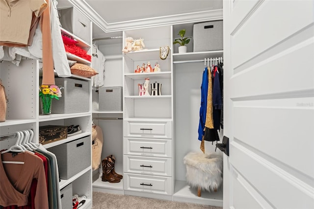 7819 Notched Pine Bnd, Wesley Chapel, FL 33545 - view of spacious closet