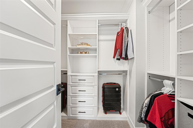 7819 Notched Pine Bnd, Wesley Chapel, FL 33545 - spacious closet featuring carpet floors