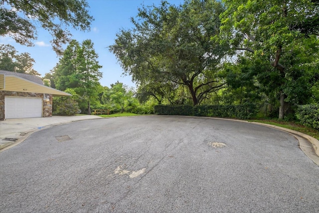 417 Somerset Ln, Palm Harbor, FL 34684 - photo 35