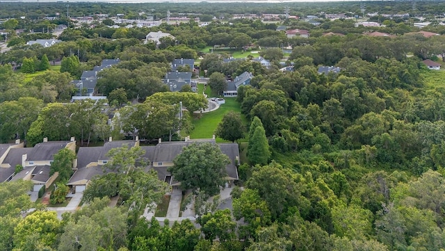 417 Somerset Ln, Palm Harbor, FL 34684 - photo 39