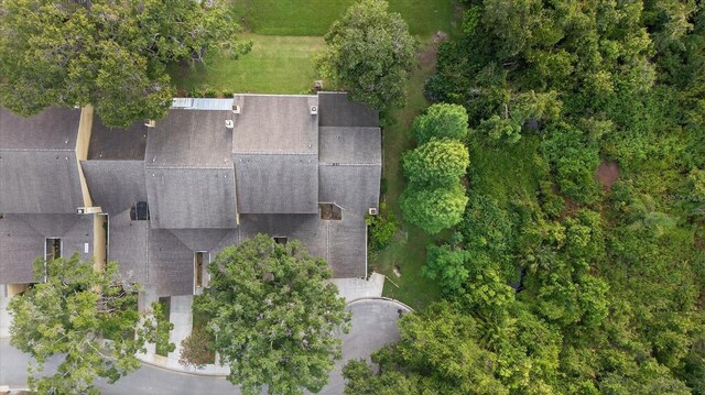 417 Somerset Ln, Palm Harbor, FL 34684 - photo 40