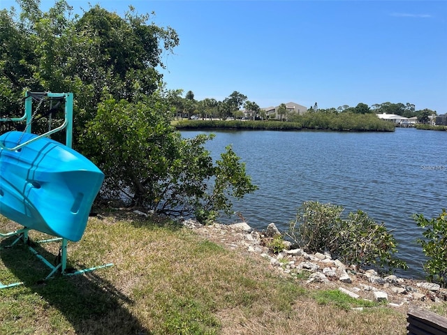4901 Onyx Ln Unit 204, New Port Richey, FL 34652 - water view
