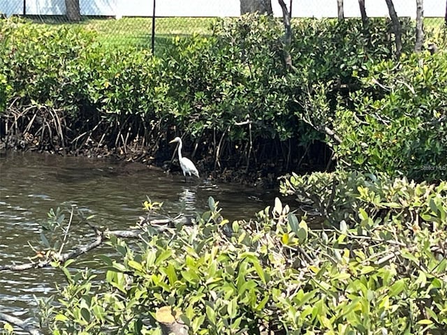 4901 Onyx Ln Unit 204, New Port Richey, FL 34652 - water view