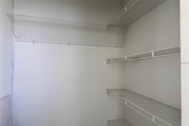 4901 Onyx Ln Unit 204, New Port Richey, FL 34652 - view of walk in closet