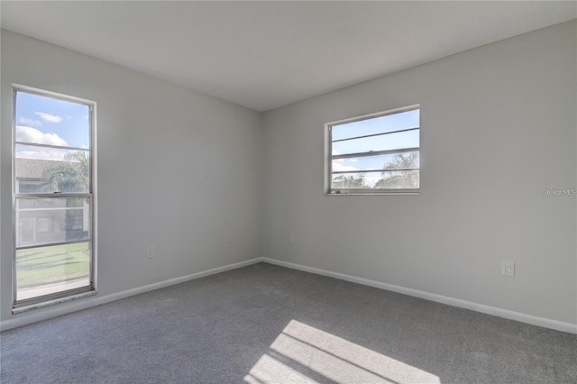 4901 Onyx Ln Unit 204, New Port Richey, FL 34652 - spare room with dark colored carpet and baseboards