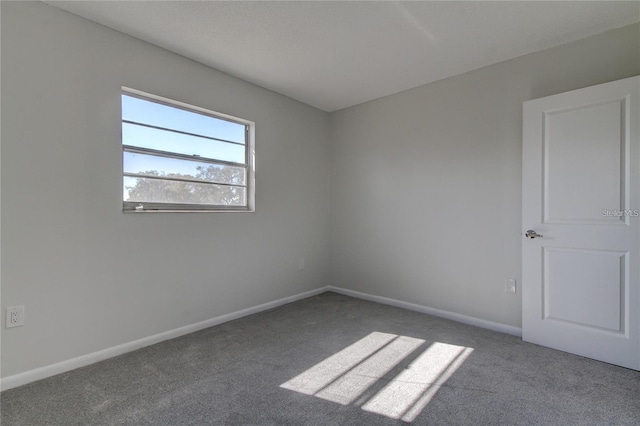 4901 Onyx Ln Unit 204, New Port Richey, FL 34652 - spare room with carpet flooring