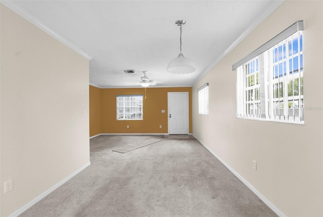 6635 Timbercove Ln, New Port Richey, FL 34653 - photo 7