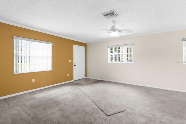 6635 Timbercove Ln, New Port Richey, FL 34653 - photo 12