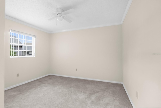 6635 Timbercove Ln, New Port Richey, FL 34653 - photo 18
