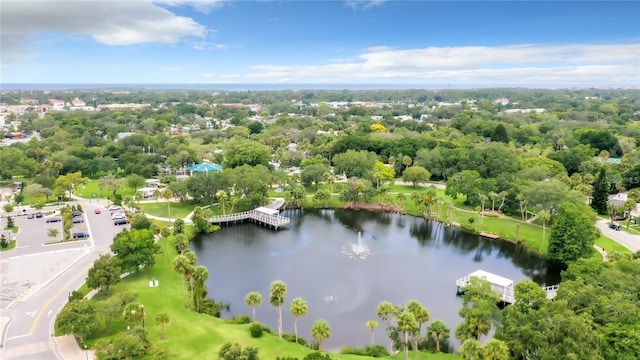 6635 Timbercove Ln, New Port Richey, FL 34653 - photo 25
