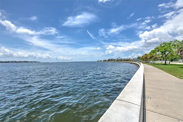 509 W Bay St Unit 205, Tampa, FL 33606 - photo 39