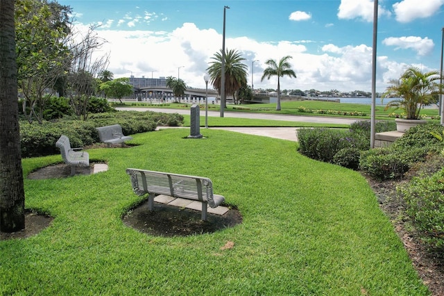 509 W Bay St Unit 205, Tampa, FL 33606 - photo 42