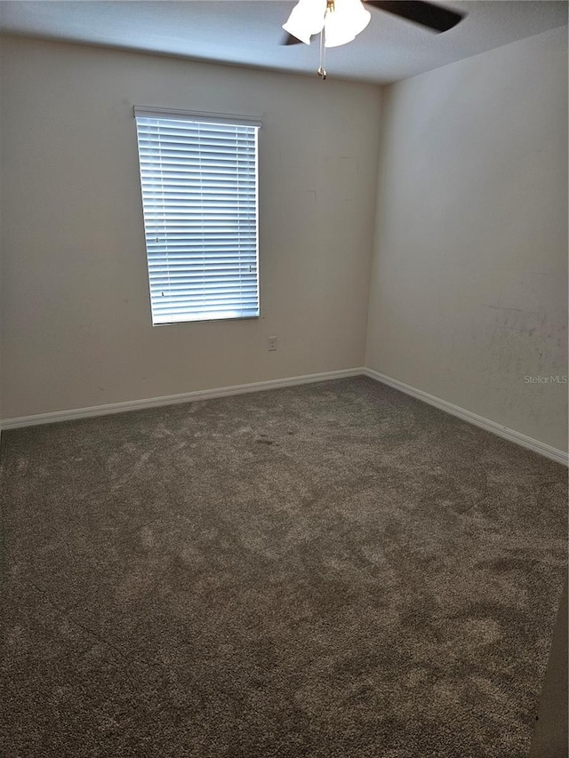 10124 Mangrove Well Rd, Ruskin, FL 33573 - unfurnished room with carpet and ceiling fan