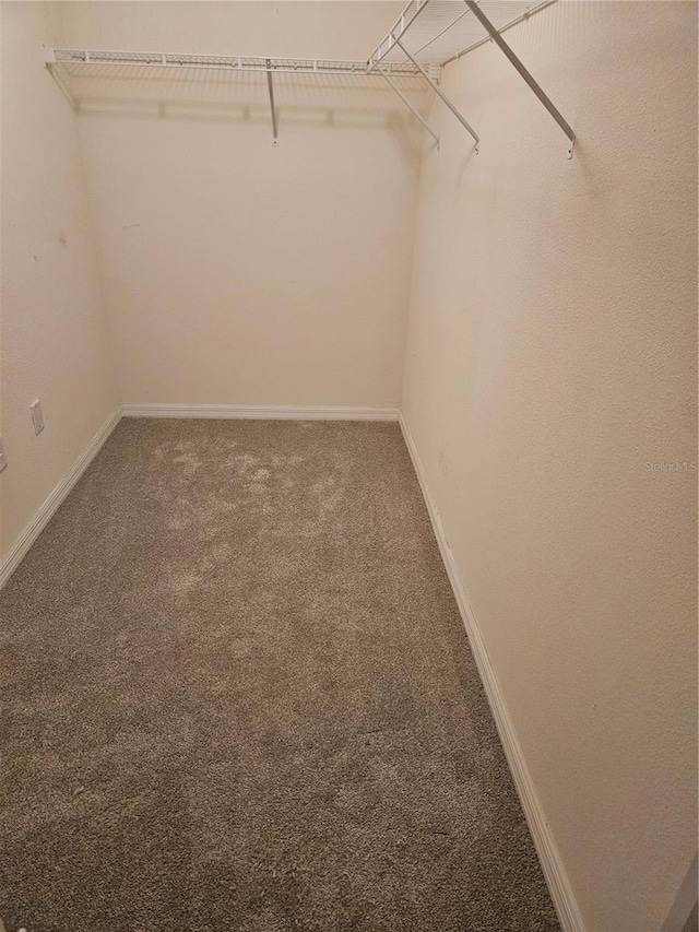 10124 Mangrove Well Rd, Ruskin, FL 33573 - spacious closet with carpet floors
