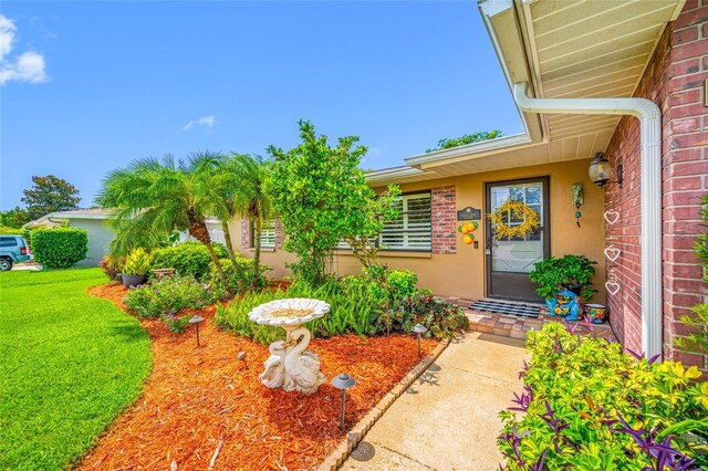 1975 Valley Dr, Dunedin, FL 34698 - photo 4