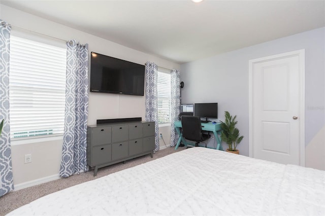 2760 Emory Sound Pl, Brandon, FL 33510 - photo 41