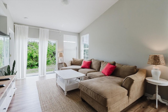 6260 Olivedale Dr, Riverview, FL 33578 - living area with wood finished floors and lofted ceiling