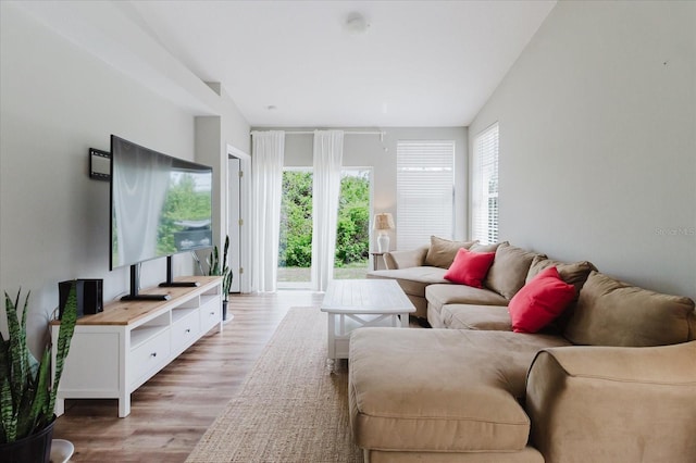 6260 Olivedale Dr, Riverview, FL 33578 - living area featuring light wood-style floors