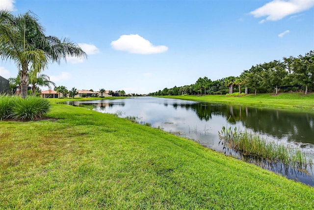 16116 Cedar Key Dr, Wimauma, FL 33598 - photo 40