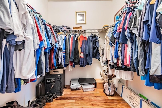 1140 S Pointe Alexis Dr, Tarpon Springs, FL 34689 - spacious closet featuring wood finished floors