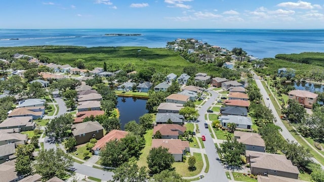 1140 S Pointe Alexis Dr, Tarpon Springs, FL 34689 - aerial view of residential area with a large body of water