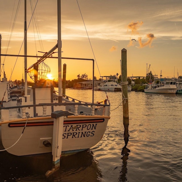 1140 S Pointe Alexis Dr, Tarpon Springs, FL 34689 - dock featuring a water view
