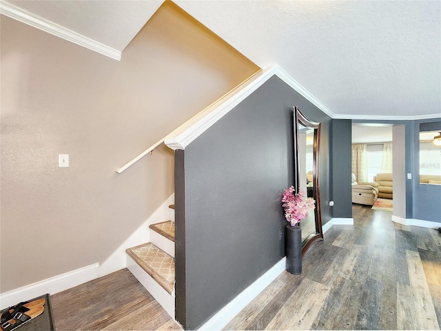 3112 Kearns Rd, Mulberry, FL 33860 - stairway featuring wood finished floors and crown molding