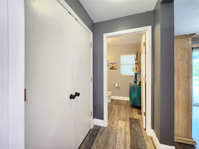 3112 Kearns Rd, Mulberry, FL 33860 - corridor with wood finished floors, plenty of natural light, and a textured ceiling