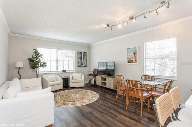 2207 S Carolina Ave Unit 10, Tampa, FL 33629 - living area with a textured ceiling, dark wood-style floors, and ornamental molding