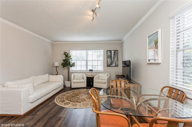 2207 S Carolina Ave Unit 10, Tampa, FL 33629 - living room with a textured ceiling, wood finished floors, plenty of natural light, ornamental molding, and rail lighting