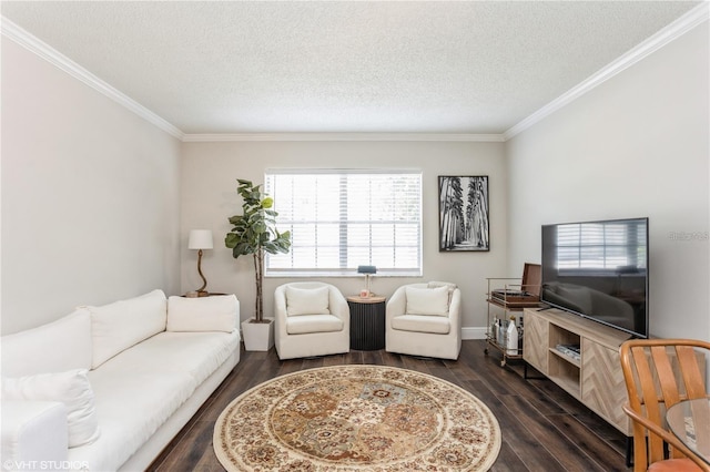 2207 S Carolina Ave Unit 10, Tampa, FL 33629 - living room with wood finished floors, crown molding, and a textured ceiling