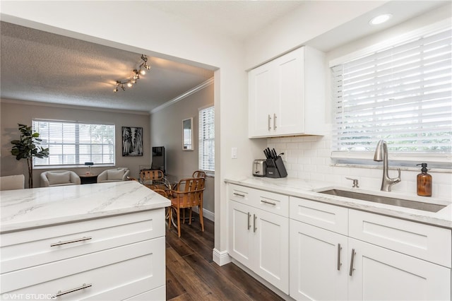 2207 S Carolina Ave Unit 10, Tampa, FL 33629 - kitchen featuring crown molding, dark wood finished floors, white cabinets, backsplash, and light stone countertops