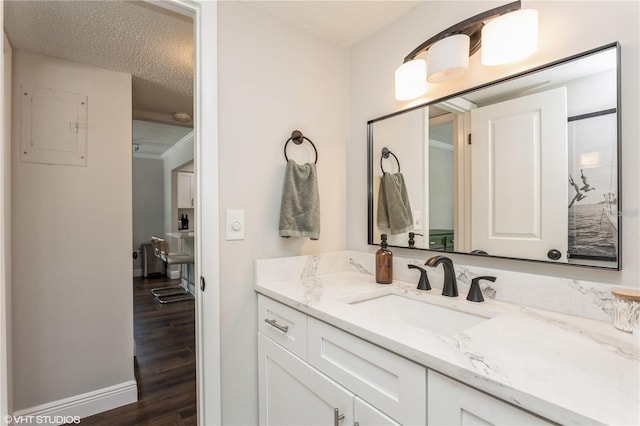 2207 S Carolina Ave Unit 10, Tampa, FL 33629 - bathroom with vanity, wood finished floors, and a textured ceiling