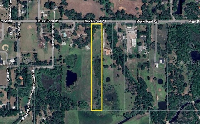 6501 Muck Pond Rd, Seffner, FL 33584 - photo 2