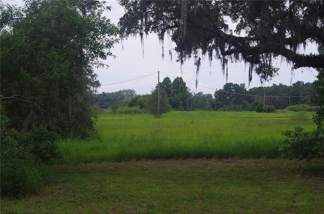 6501 Muck Pond Rd, Seffner, FL 33584 - photo 4