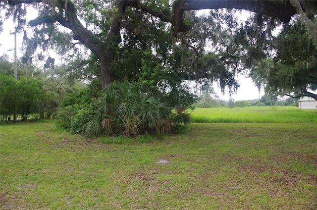 6501 Muck Pond Rd, Seffner, FL 33584 - photo 5