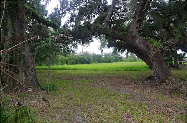 6501 Muck Pond Rd, Seffner, FL 33584 - photo 6