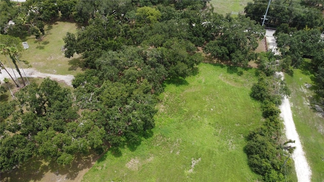 6501 Muck Pond Rd, Seffner, FL 33584 - photo 10