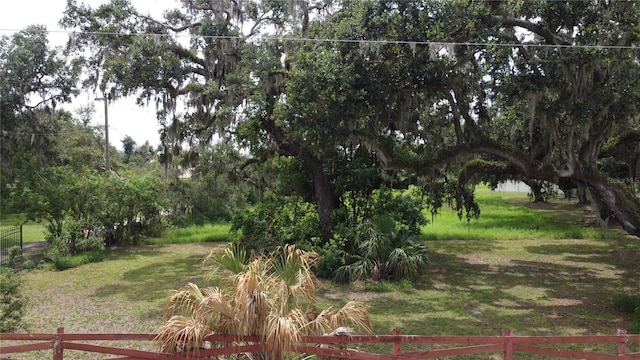 6501 Muck Pond Rd, Seffner, FL 33584 - photo 13