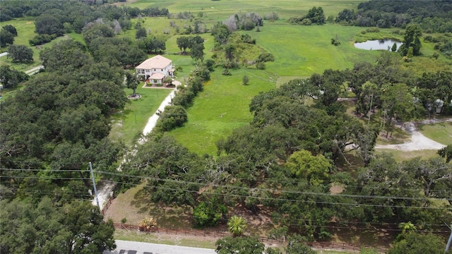 6501 Muck Pond Rd, Seffner, FL 33584 - photo 15
