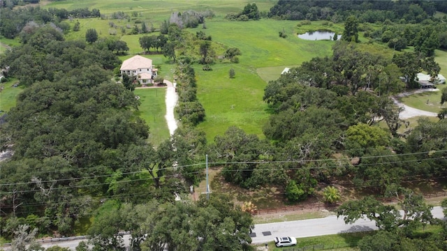 6501 Muck Pond Rd, Seffner, FL 33584 - photo 16