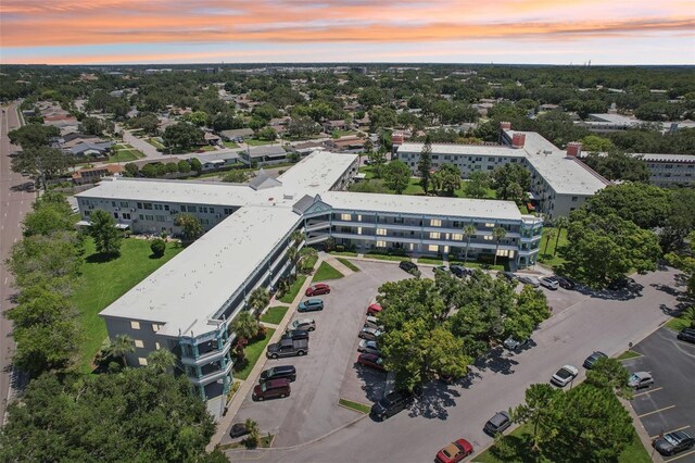 2370 Jamaican St Unit 44, Clearwater, FL 33763 - aerial view at dusk of view of scattered trees