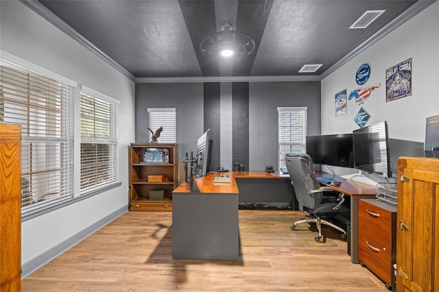 13252 SW 6th Ave, Newberry, FL 32669 - office area featuring ornamental molding and light wood-style floors