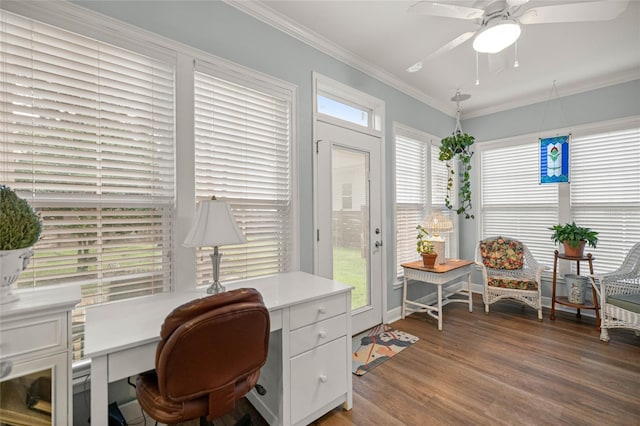 13252 SW 6th Ave, Newberry, FL 32669 - office area featuring crown molding, light wood-style floors, and a ceiling fan