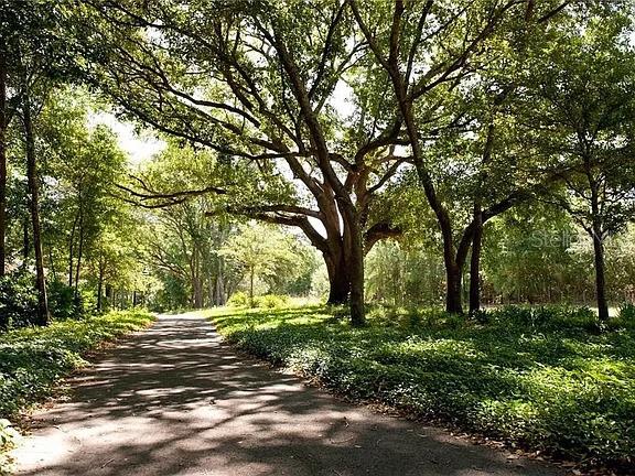 13252 SW 6th Ave, Newberry, FL 32669 - surrounding community with a wooded view