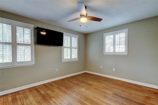 1971 Horse Shoe Bend Rd, Dunedin, FL 34698 - photo 63