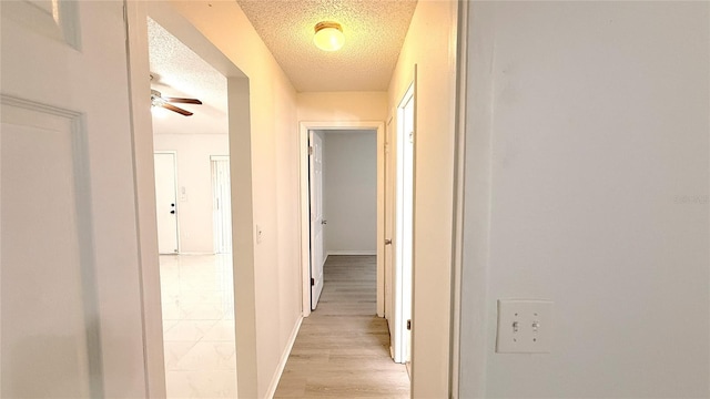 7715 Gulf Ct, Temple Terrace, FL 33637 - photo 18