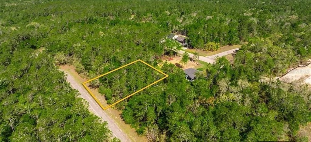 165 E Simms Ln, Citrus Springs, FL 34434 - photo 1