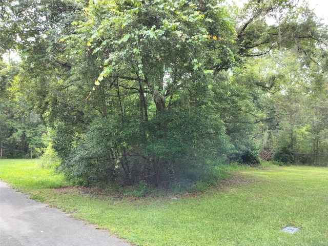 19308 Wildwood Dr, Brooksville, FL 34601 - photo 2
