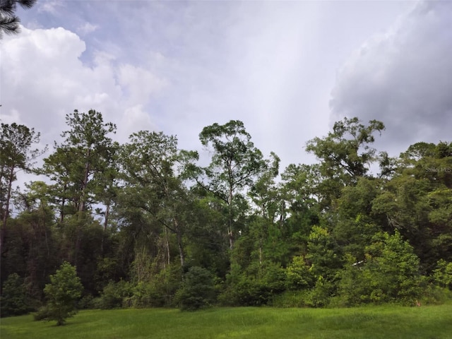 19308 Wildwood Dr, Brooksville, FL 34601 - photo 3